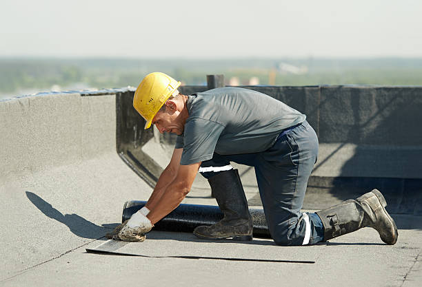 Best Insulation Removal  in Sewaren, NJ